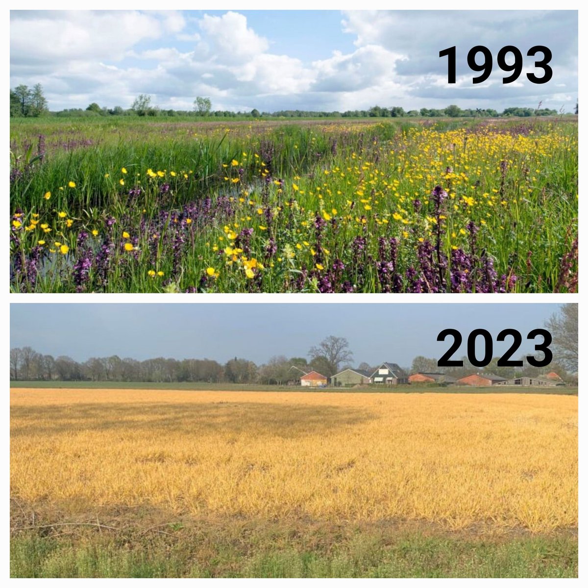 Zien jullie het verschil?

1993 (zonder boeren)
2023 (door boeren)
