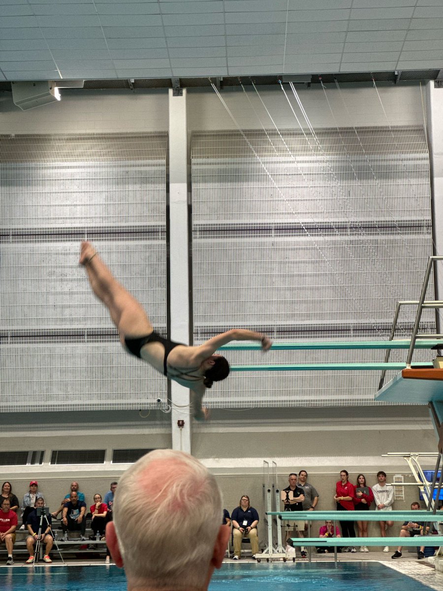 Midland ISD Swimming & Diving tweet media