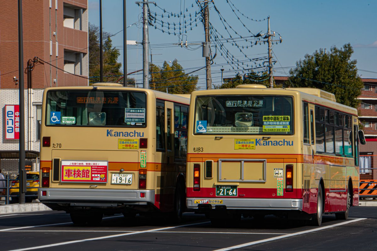 🍵しらたま🍡 on X