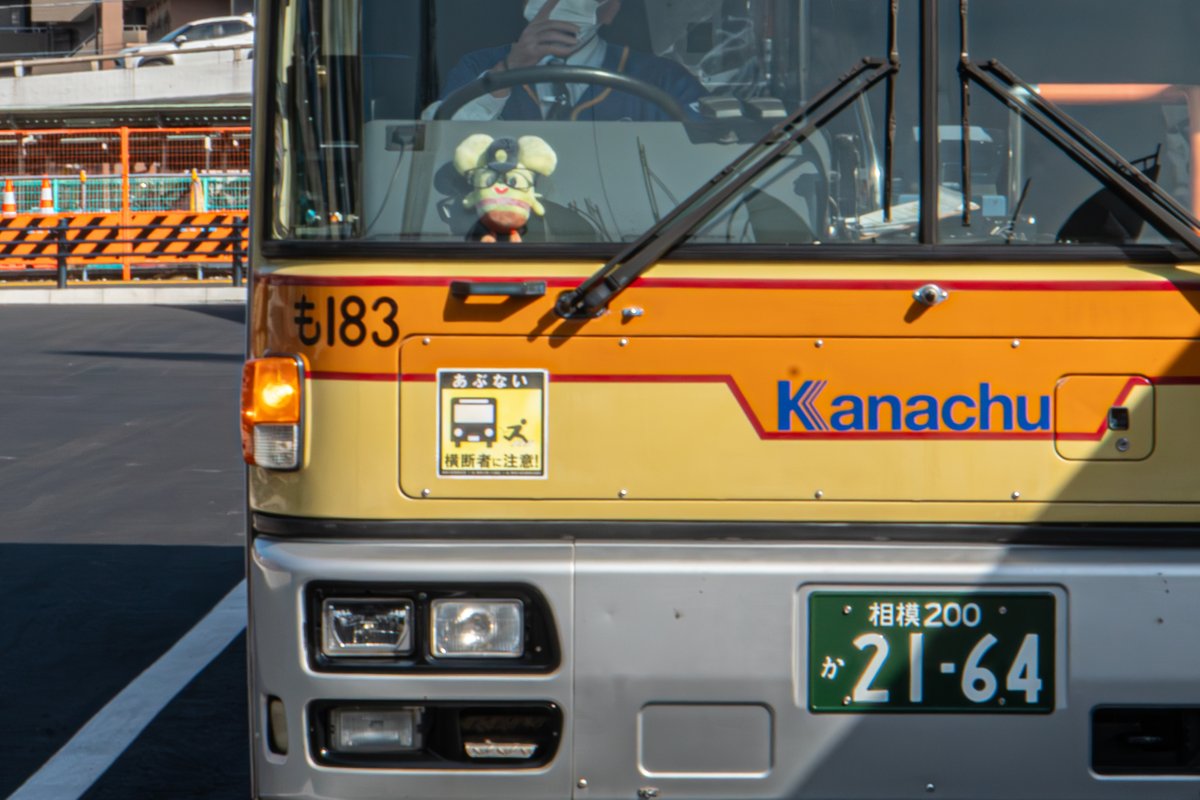 しらたま様 🍵しらたま🍡 on X