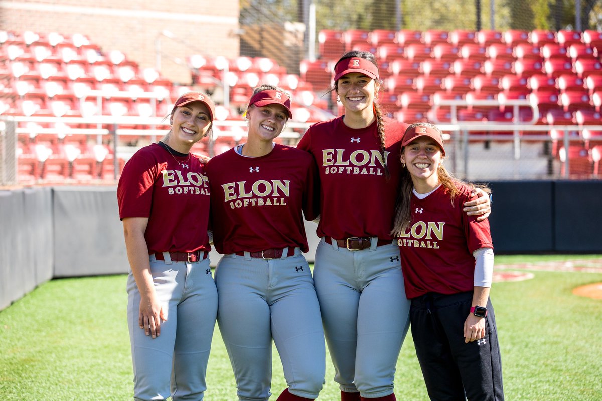 ElonSoftball tweet picture