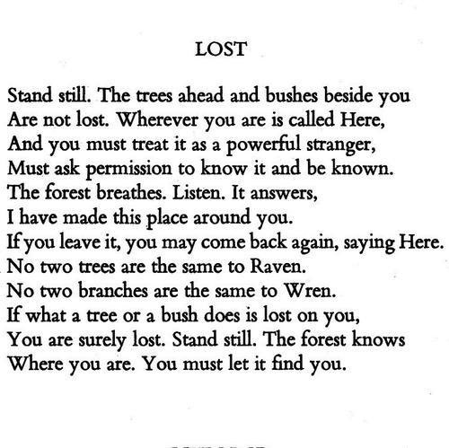 <a href="/p_millerd/">Paul Millerd</a> Lost, by David Wagoner