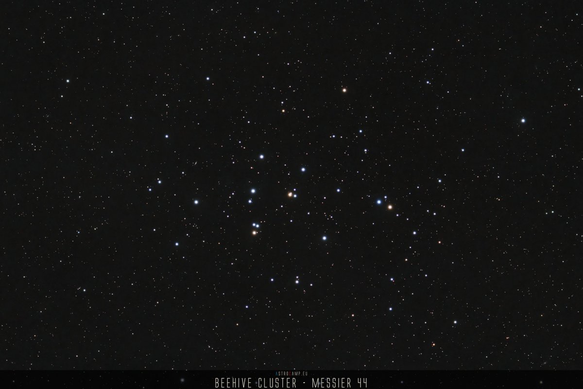 AstrophotoCamp's tweet photo. Messier 44 - Beehive Cluster - Messier 44 is an open star cluster in the constellation Cancer, containing about 50 stars visible to the naked eye and surrounded by a... - #BeehiveCluster #M44 #Messier44 #Astrophotography Blog: https://t.co/vKsZHgt34j #clearskies https://t.co/4VgHBjjuzU