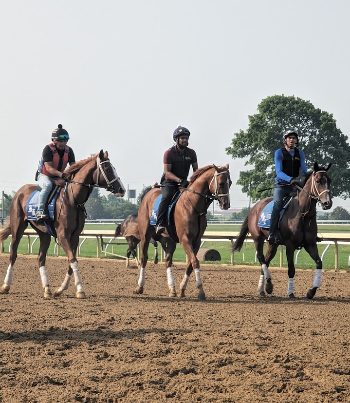 A trio of Brad Cox trainees this past summer
•
•
•
Keeneland, June 23 2023
#horse #horsefarm #horsephotograpy #horseracingphotography #horsephotographer #horsecountry #horseracing #horses