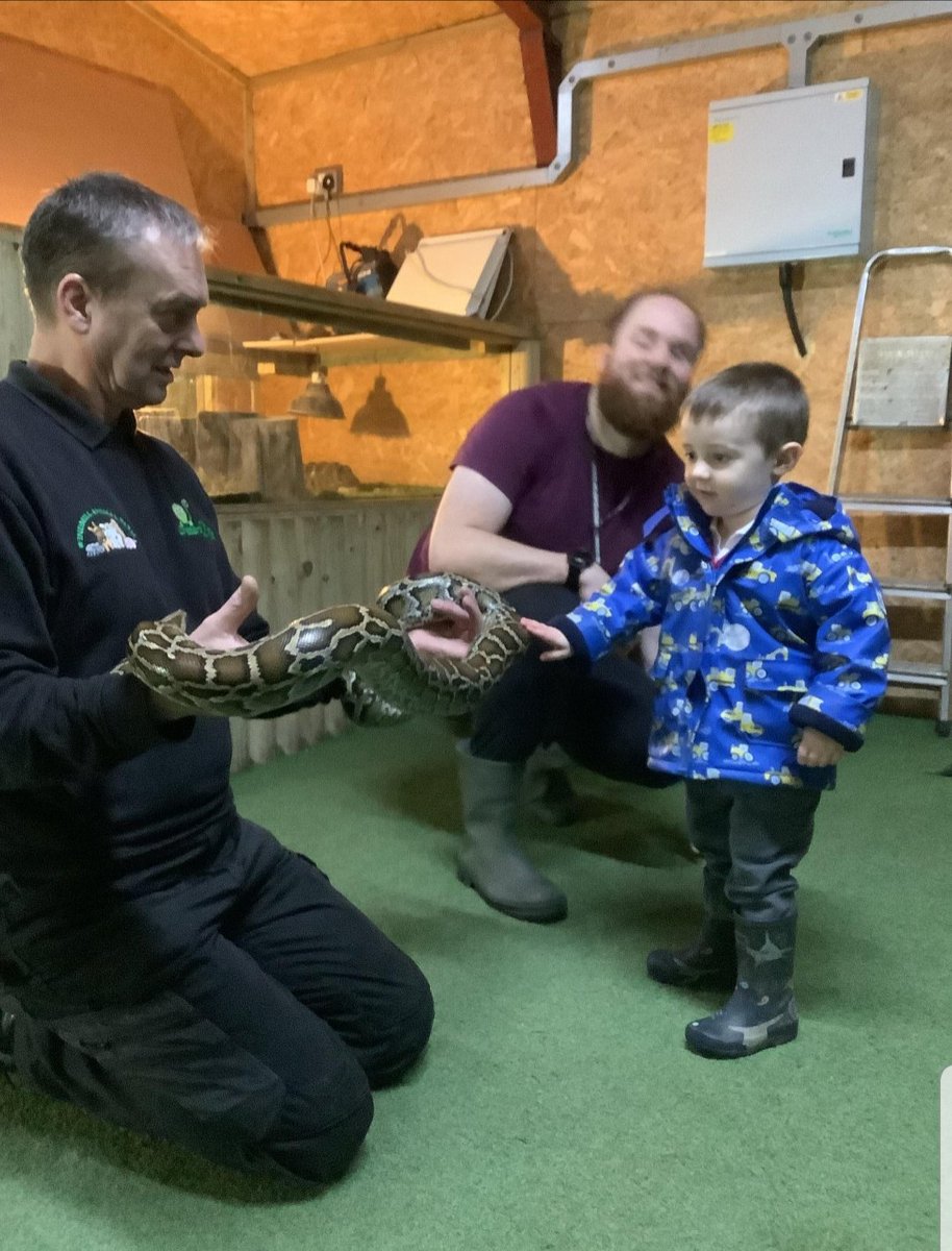 Nicola Sutton tweet media