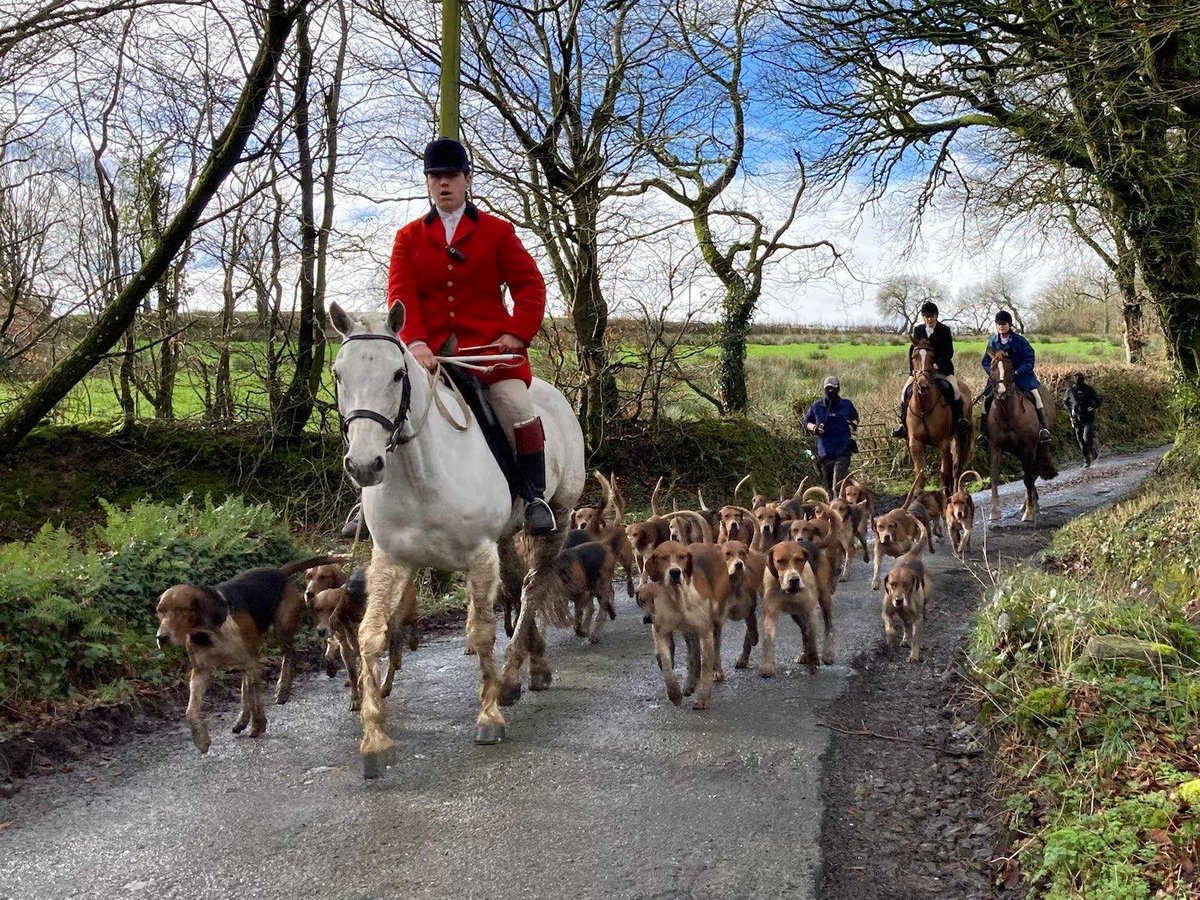 devoncountysabs's tweet photo. Stevenstone Hunt 24.2.24

Today was a great day for the local foxes, and a royally shit day for budget huntswoman Jessica Half-Pack Harrison and the Stevenstone hunt, as we shut down their midday meet at West Putford. (1/6) https://t.co/3yIOPuY51h