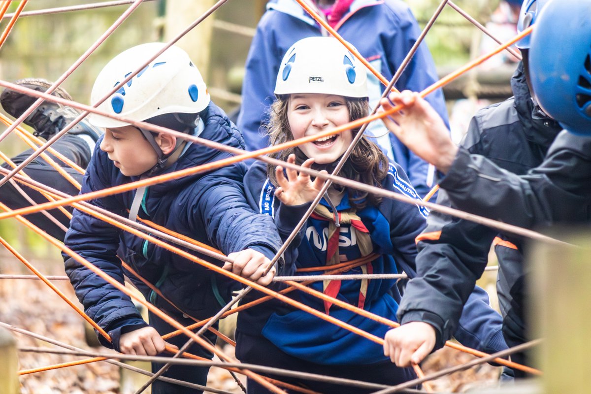 Surrey Scouts tweet media