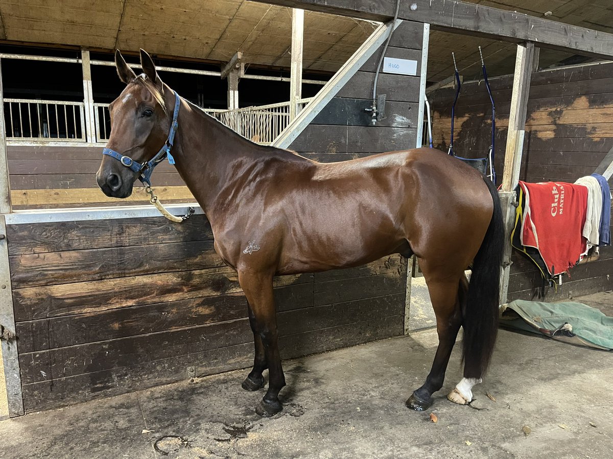 Purdon Racing (@allstarsracing_) on Twitter photo We Walk By faith is Sydney bound this morning ✈️ We Walk By faith is Sydney bound this morning ✈️