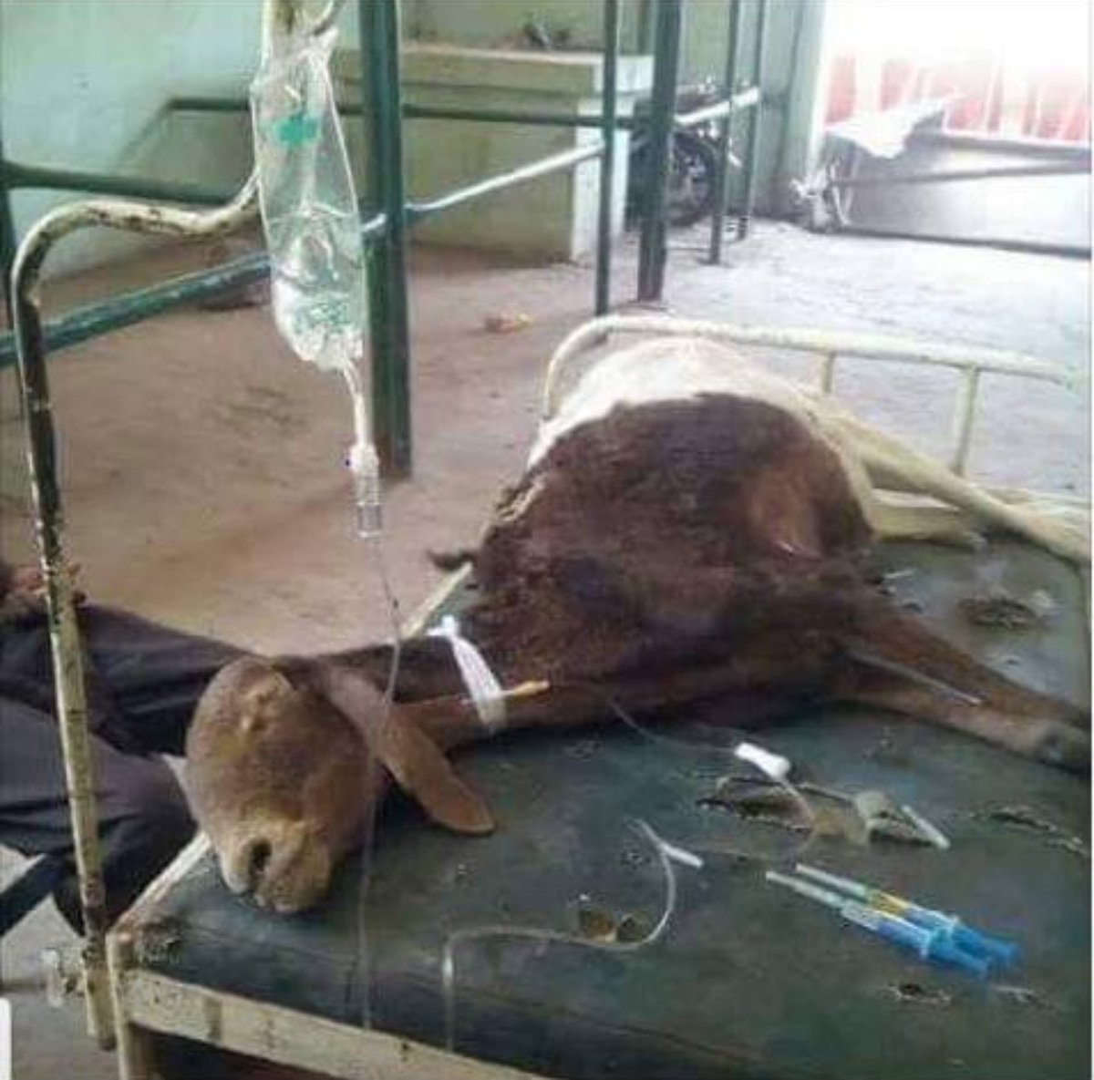 Les pays de l’AES !!