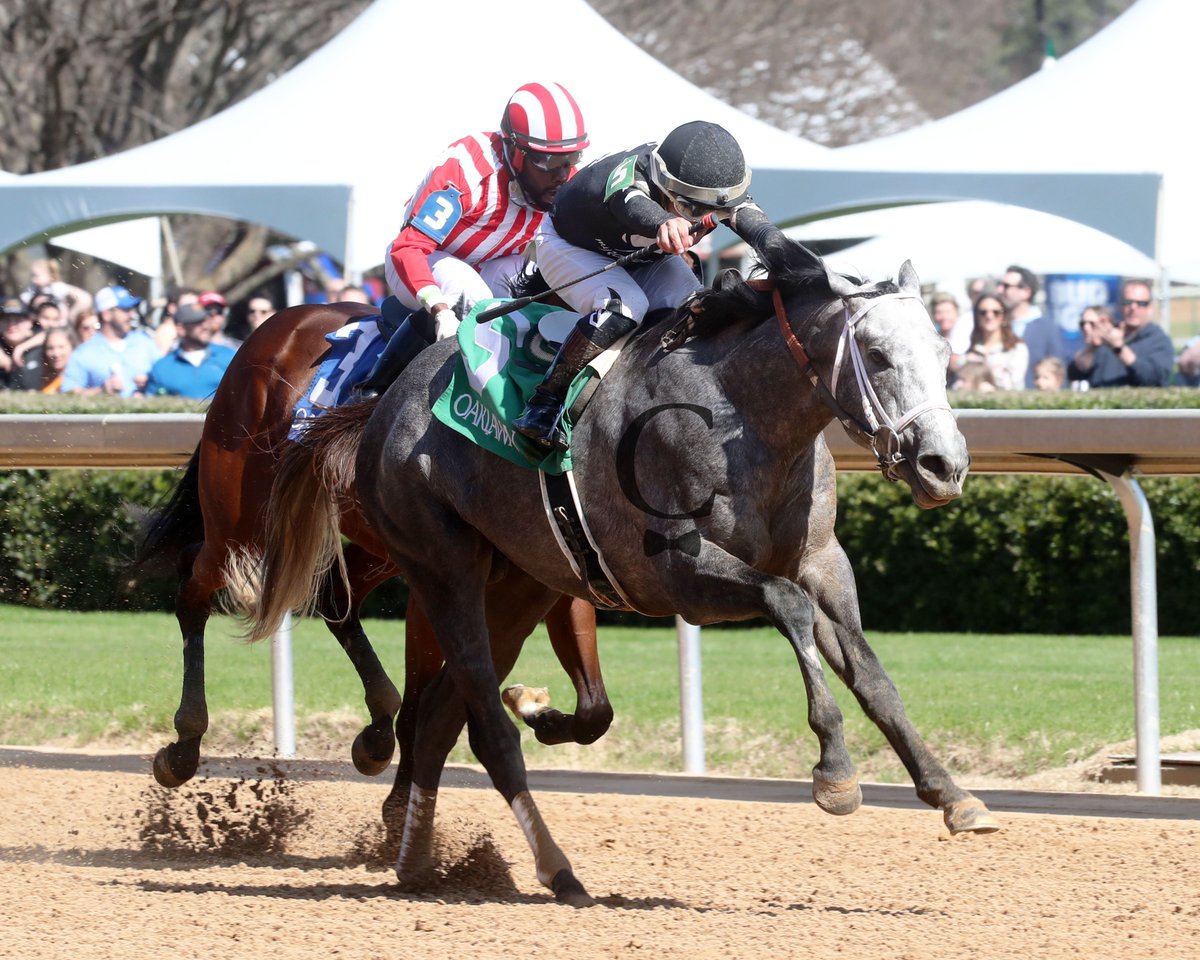 SEIZE THE GREY, by the late stallion Arrogate (@JuddmonteFarms), seized the first race @OaklawnRacing for owners @MyRacehorse and trainer D. Wayne Lukas, with Nik Juarez in the irons. Official photos only at ➡️ bit.ly/3Ic36fT