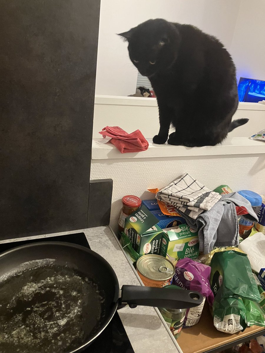 RubisChat's tweet image. Règle n°1 en cuisine : toujours vérifier ce que les humains préparent.