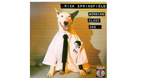 MusicBeat5's tweet image. Feb. 24, 1981 #RickSpringfield released his 5th studio album, 'Working Class Dog'. The album contains the single, 'Jessie's Girl'. He was awarded the 1982 Grammy Award for Best Rock Vocal Performance, Male. #Music 
youtu.be/qYkbTyHXwbs?si…