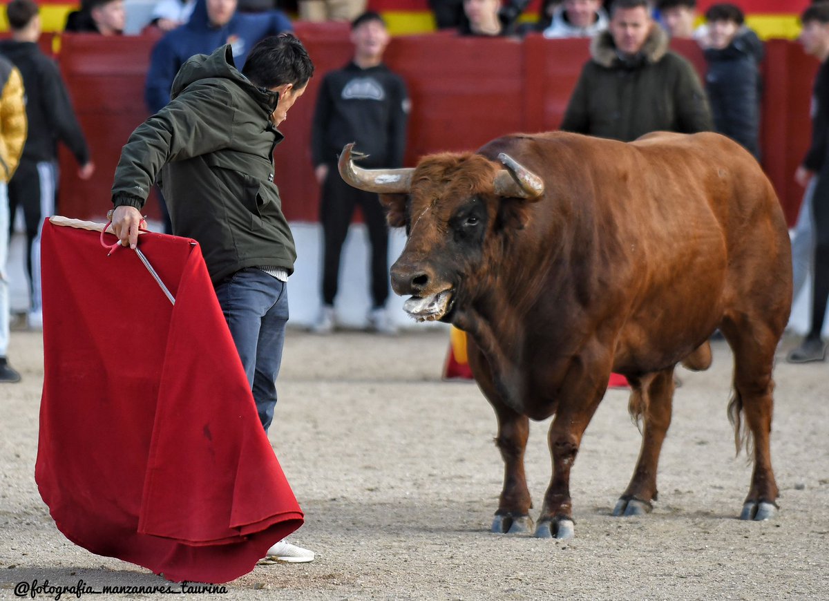 Sin agallas no hay gloria 💪♉
De hoy el Casar Guadalajara y un toro ♉ del risco 
<a href="/noeliacrespop/">Noelia Crespo</a> <a href="/aplausos/">Aplausos</a> <a href="/LasVentas/">Plaza de Las Ventas</a> 
#fe #todollega #constancia #elcasar #Guadalajara
