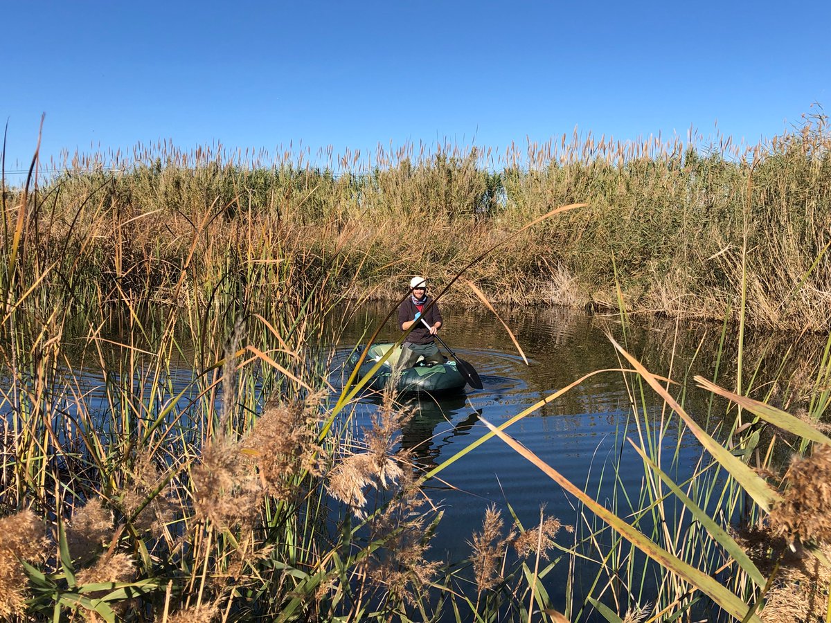 🎉We have already completed a year of sampling at the Coastal Lagoons of Les Madrigueres for the <a href="/ALFAwetlands/">ALFAwetlands Project</a> Project!! 
👂Stay tuned for the first results!