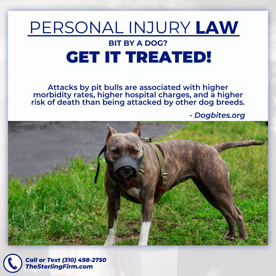 💢DO YOU KNOW THE RISKS OF BEING BIT BY A PIT BULLDOG?
💢DO YOU KNOW YOUR RESPONSIBILITY AS A DOG OWNER?

📲 +1(310)498-2750
TOLL FREE: (844) 4-GETLEGAL / (844) 443-8534
*⠀
#law #attorney #dogbites #insuranceclaim #freeconsultations #claim #compensation #freecaseevaluation
