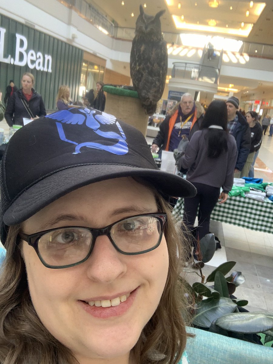 OWL bet this isn’t something just anybody finds on their Sinnoh Tour! 🦉#PokemonGOTour #TeamMystic <a href="/PokemonGoApp/">Pokémon GO</a>