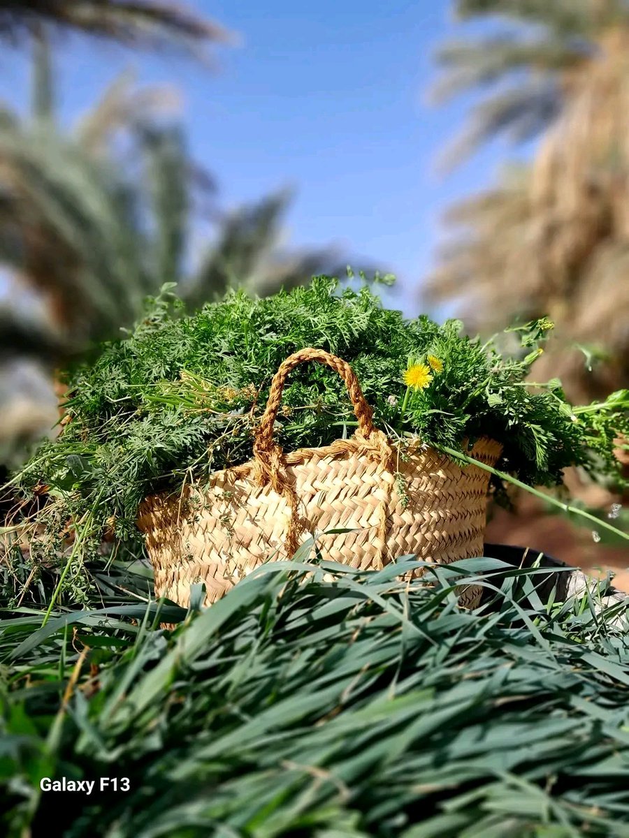 ولد المرحوم الحاج (@jeje889205) on Twitter photo 