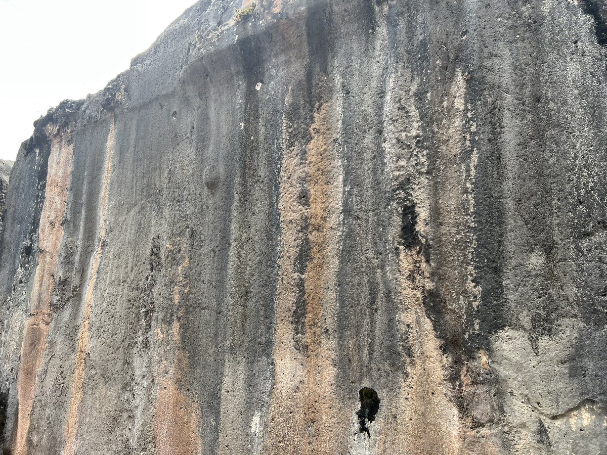 Nikkiana Jones tweet media