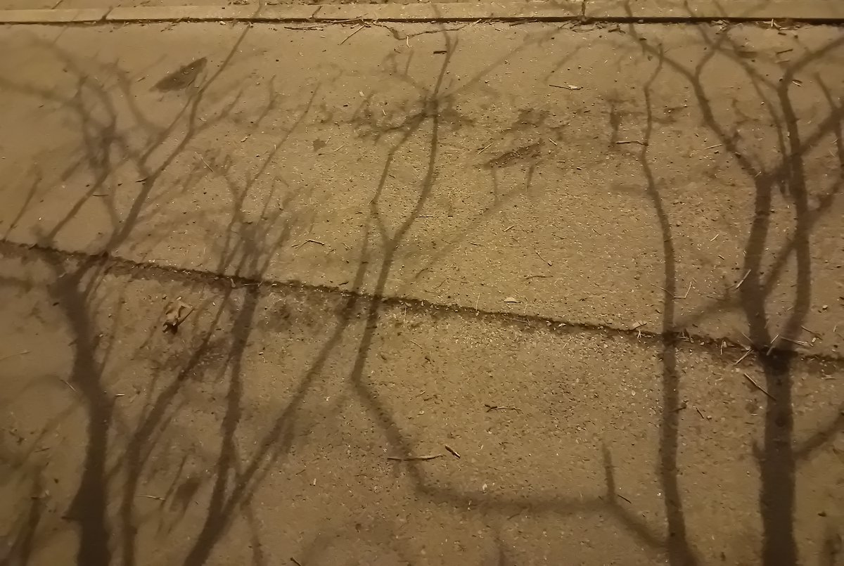 VVB_LJ's tweet photo. 24. II. 2024, 18:28

#PavementPoem https://t.co/0bWLps9Xbh