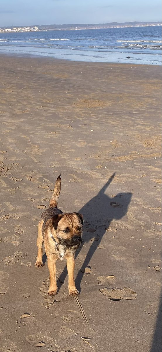 Adele Bealey tweet media