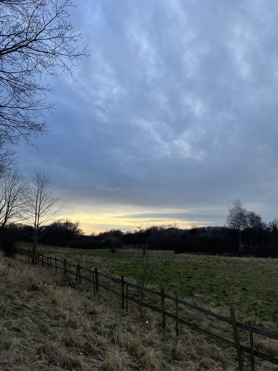 Ministry of Thoughts tweet media