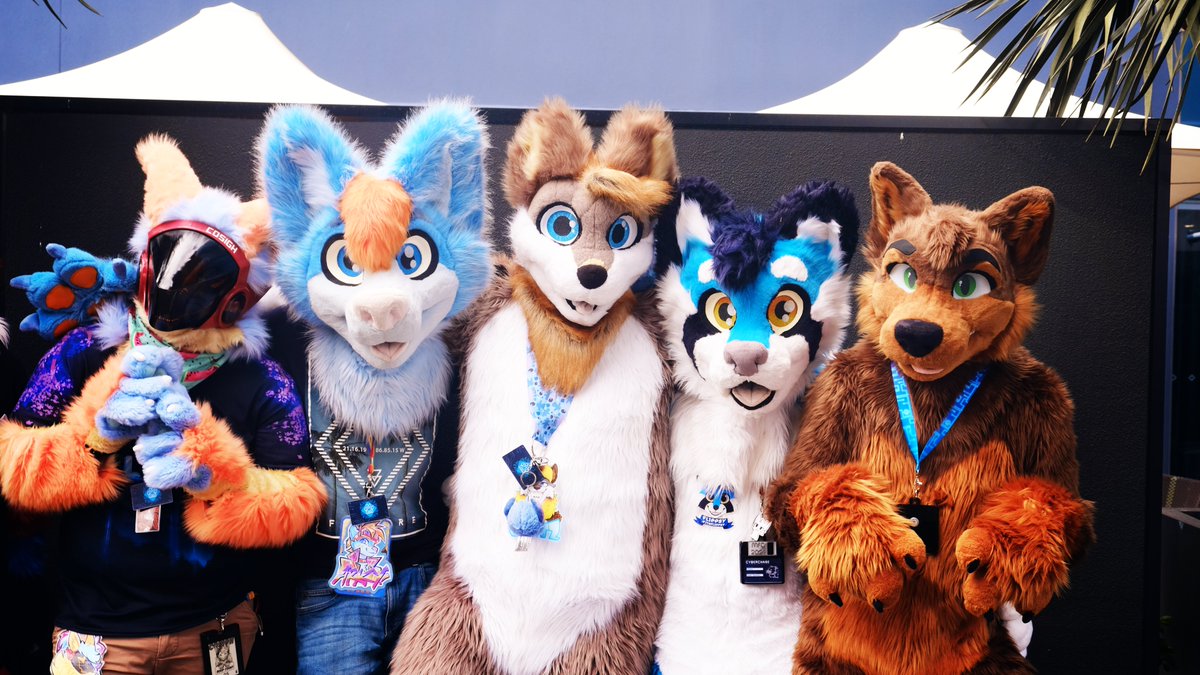 The last 2 days of #MFC2024 #mfc have been great and today is the 3rd and final day. Met many great people and got this group photo with @ArkyFloof <a href="/JustinDaKelpo/">Justin The Kelpie!</a> <a href="/ItsFlippsy/">Flippsy</a> , Blitz and Cosigh. Will post more later tonight