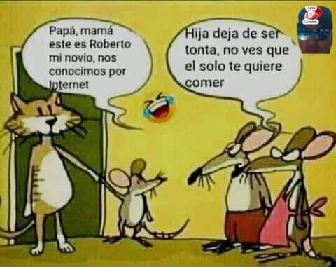 Leticia30711207's tweet photo. #HumorDeSabado
🤣🤣🤣🤣 https://t.co/PfKFsdr5SI