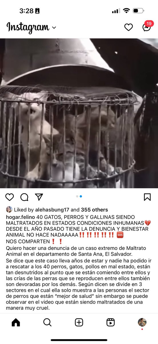 40 GATOS, PERROS Y GALLINAS EN CONDICIONES INHUMANAS EN SANTA ANA. 

Que <a href="/ibaelsalvador/">Instituto de Bienestar Animal</a> no va hacer nada?????????? <a href="/GABEHASH/">Guillermo Hasbun</a> 

Amigos ayúdenme a RT esto es UNA BARBARIDAD 😭‼️⚠️⚠️⚠️⚠️⚠️‼️‼️‼️‼️‼️‼️‼️‼️‼️‼️‼️