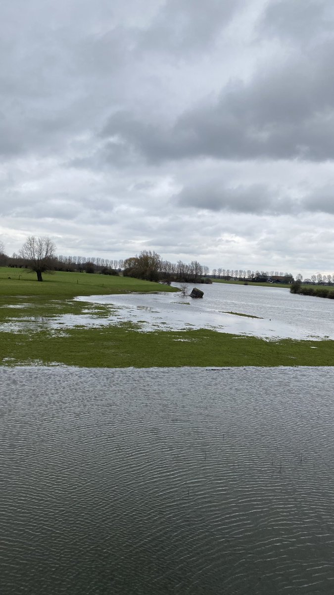 maartenvleeuwen's tweet image. Lekker gelopen van Dieren naar Wichmond langs de IJssel. #hardlopen