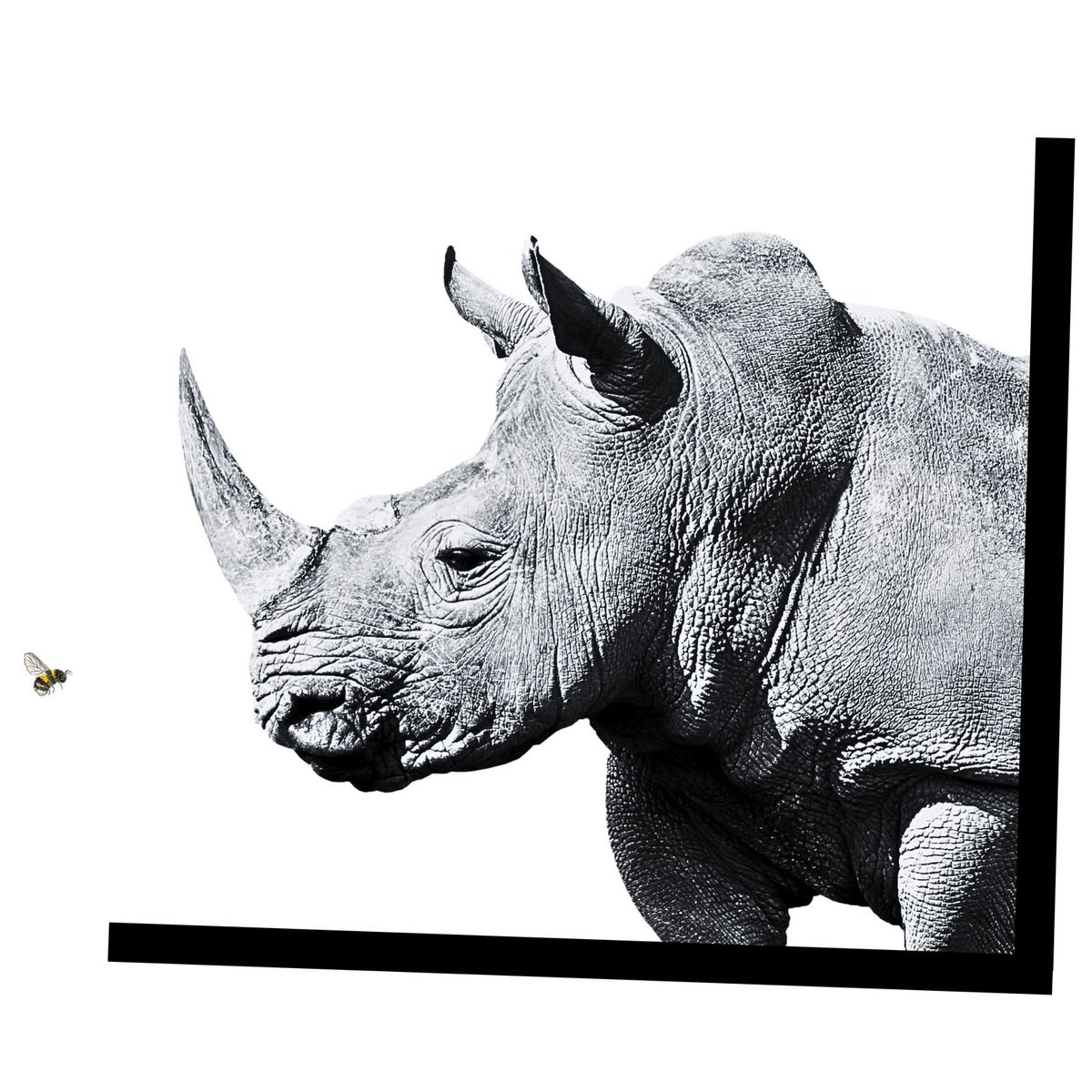 themcalgorithm's tweet image. Be still and know... INTUGY link in bio #intugy #hiphop #mentalhealth #selfawareness #animalinstinct