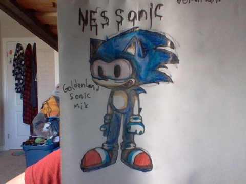 Itsametortanth's tweet photo. @NikitaE37718830 NESland Sonic. https://t.co/9MkzHp6HyN