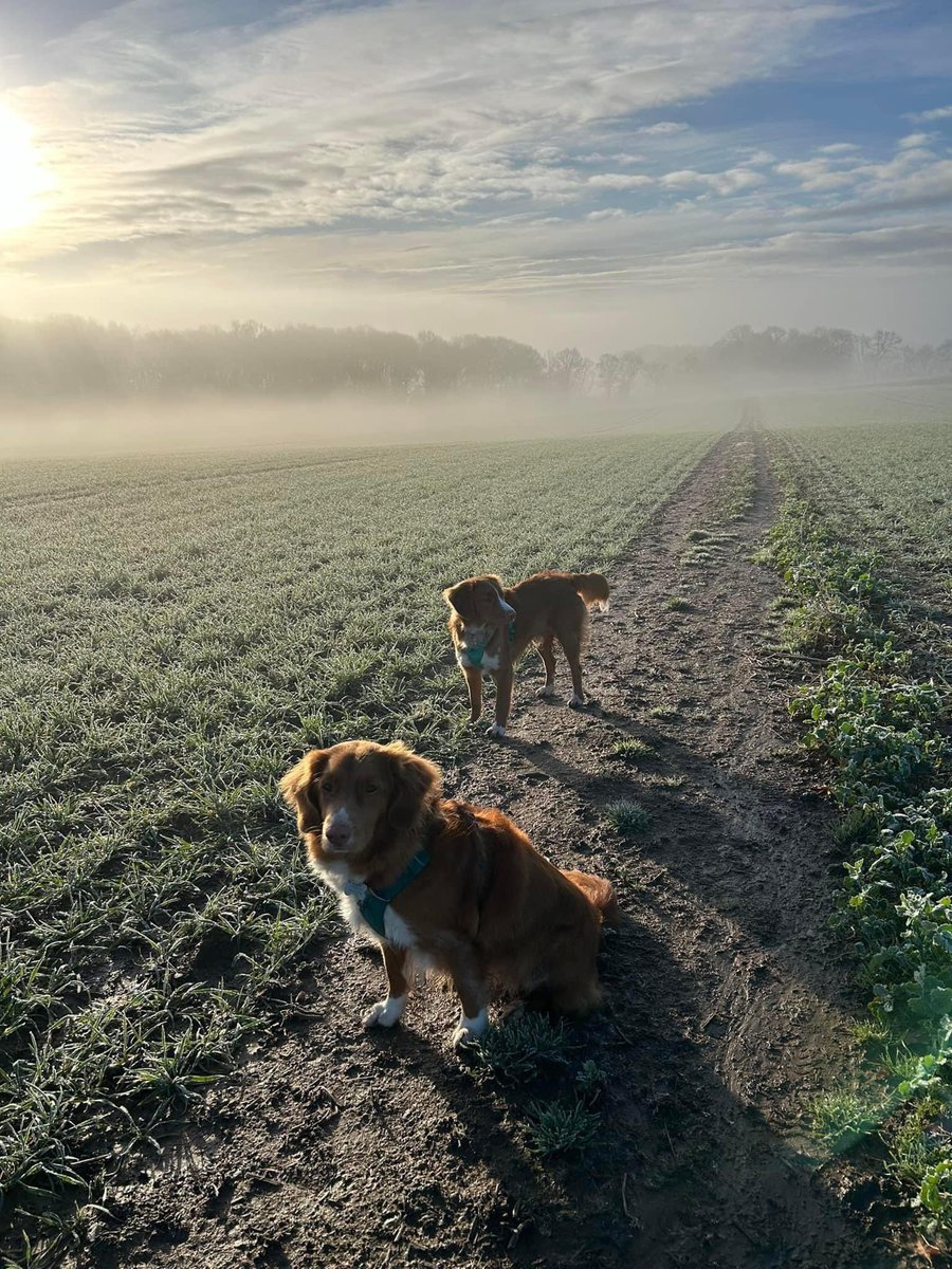 Rachel McHugh (@mchughrach14) on Twitter photo 