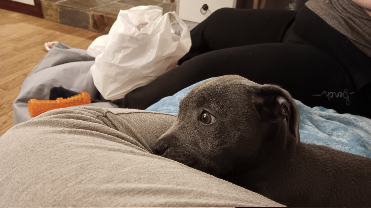 NewFound_Design's tweet photo. Another night. Another @igp video. Think shes hiding in this one (excuse the takeaway!) https://t.co/W9ue8My6ji
