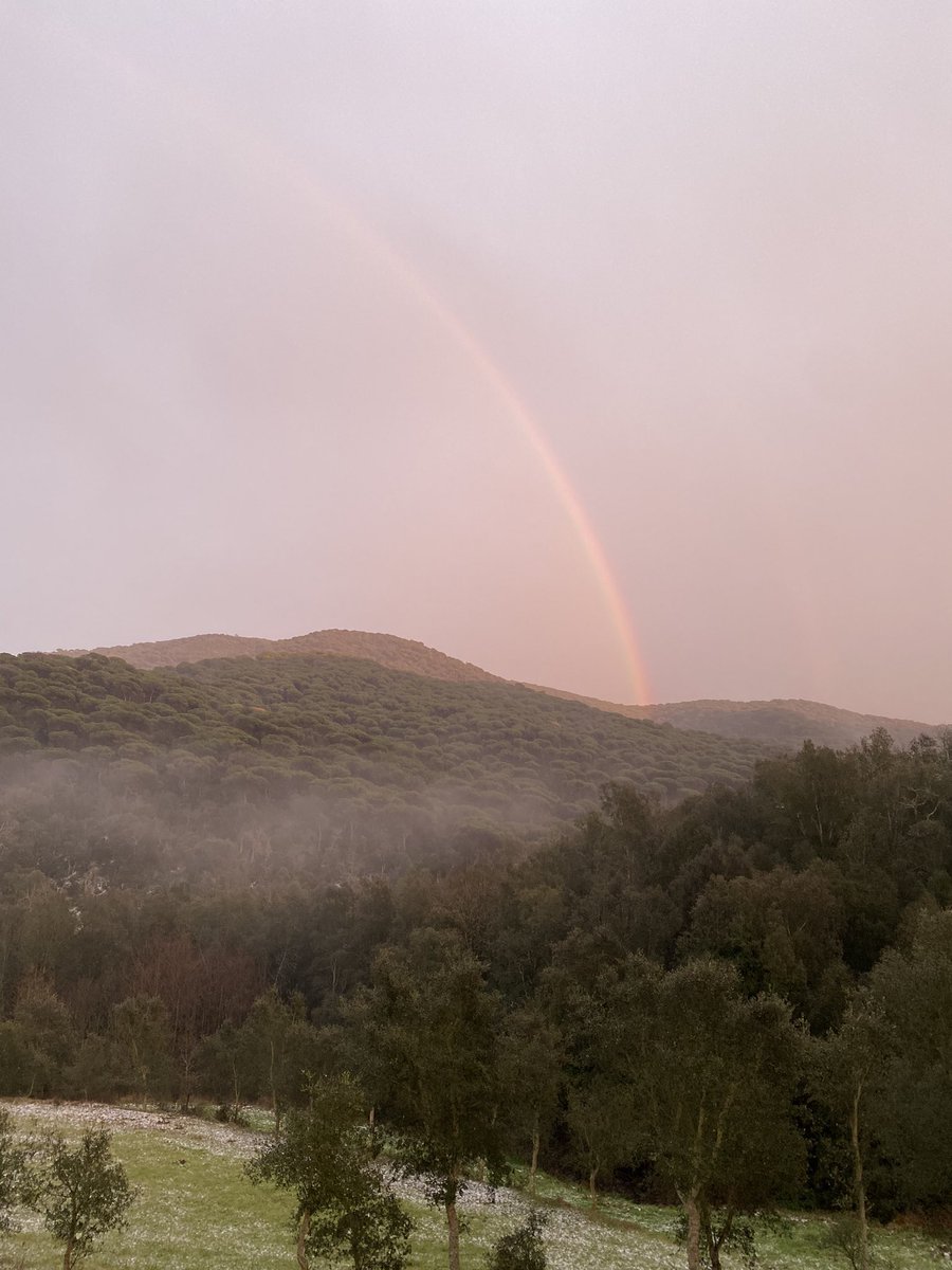 Txell Ortiz Vilaseca tweet media