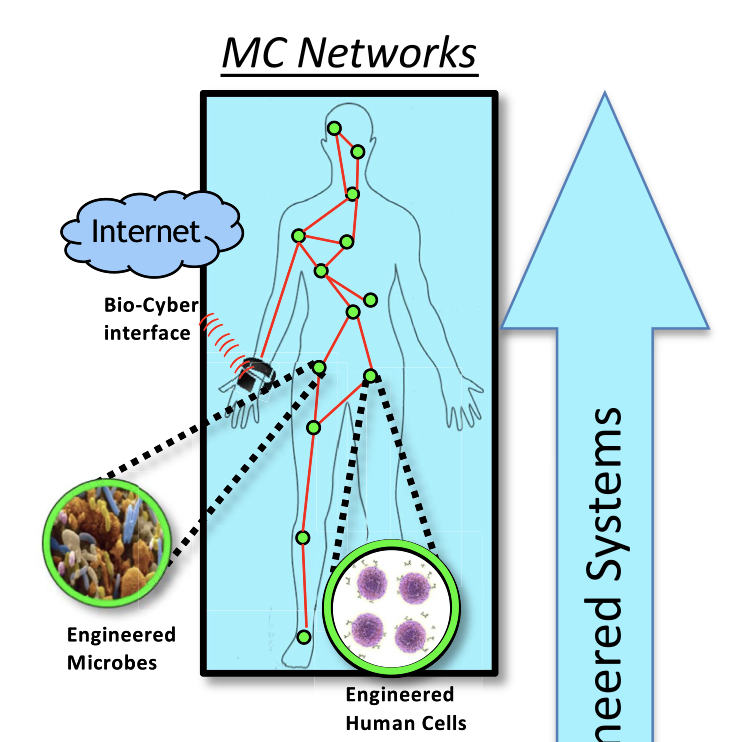 CorinneNokel's tweet image. Ian F. Akyildiz 
#IntraBodyMolecularCommunicationNetworks
#HumanComputing
&apos;Molecular networks, where engineered biological systems interconnect to each other to pervasively monitor and control human health parameters and interface to the broader internet.&apos;
mbite.unl.edu/files/papers/2…