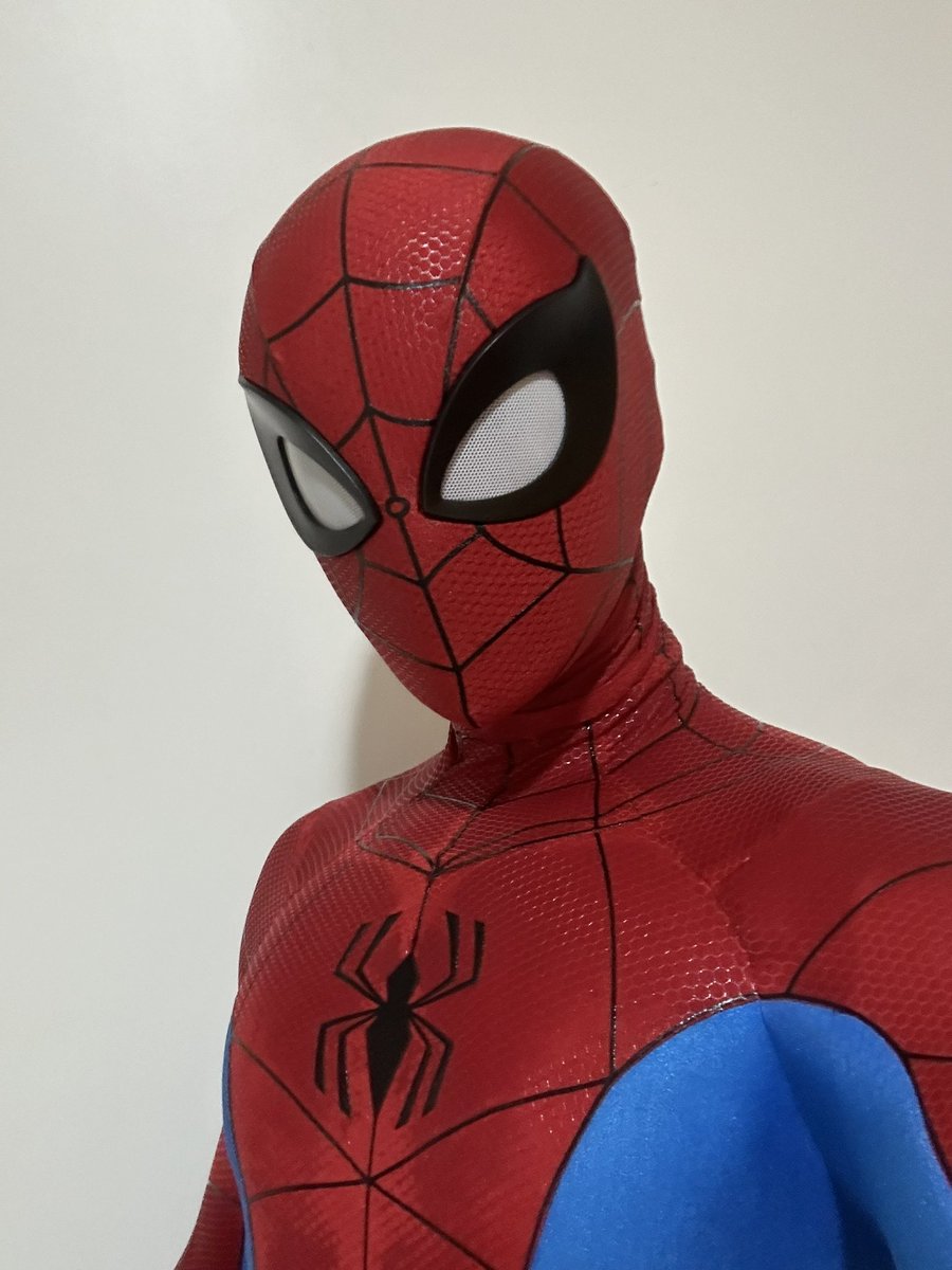 SWebhead's tweet image. I am the Spectacular Spider-Man!
