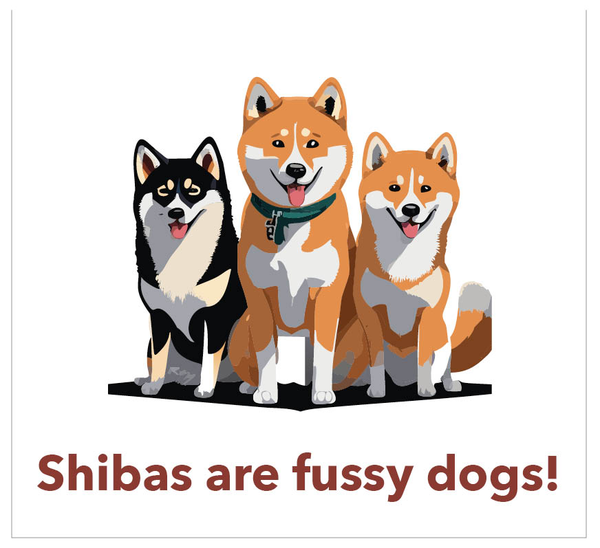 fussydogs tweet picture