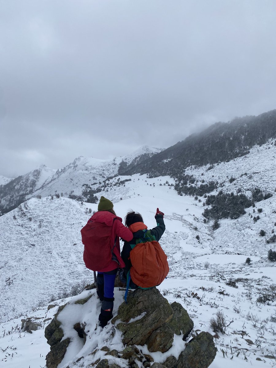 La mala influencia <a href="/LucaAln/">Lucía 🦉</a>  y la serotonina ❄️