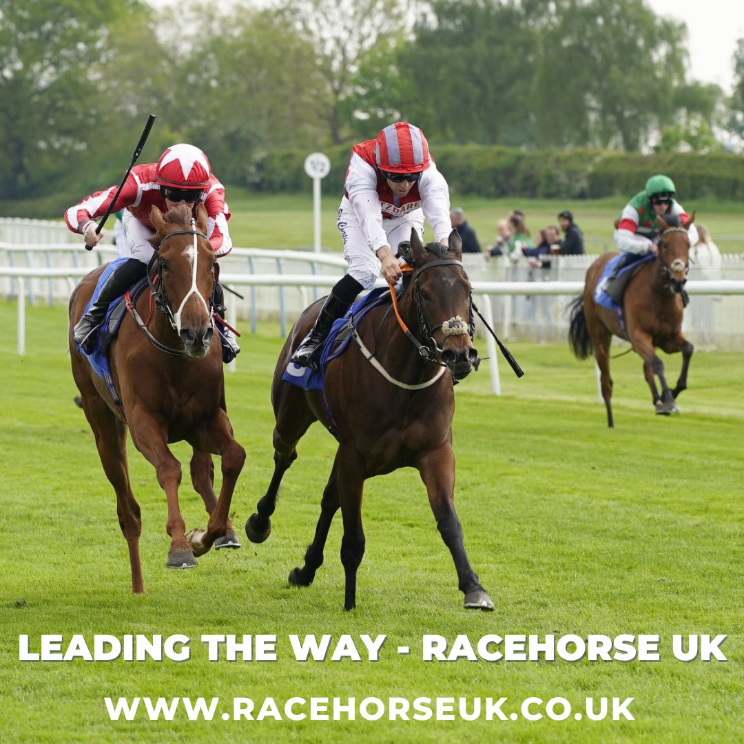 Racehorse UK has six dedicated categories for effortless listing and browsing! 📋✨  Discover the convenience and simplicity yourself at racehorseuk.co.uk   
#horseracing #racehorsesyndicate #syndicateshares #retiredracehorse #horseracingclub