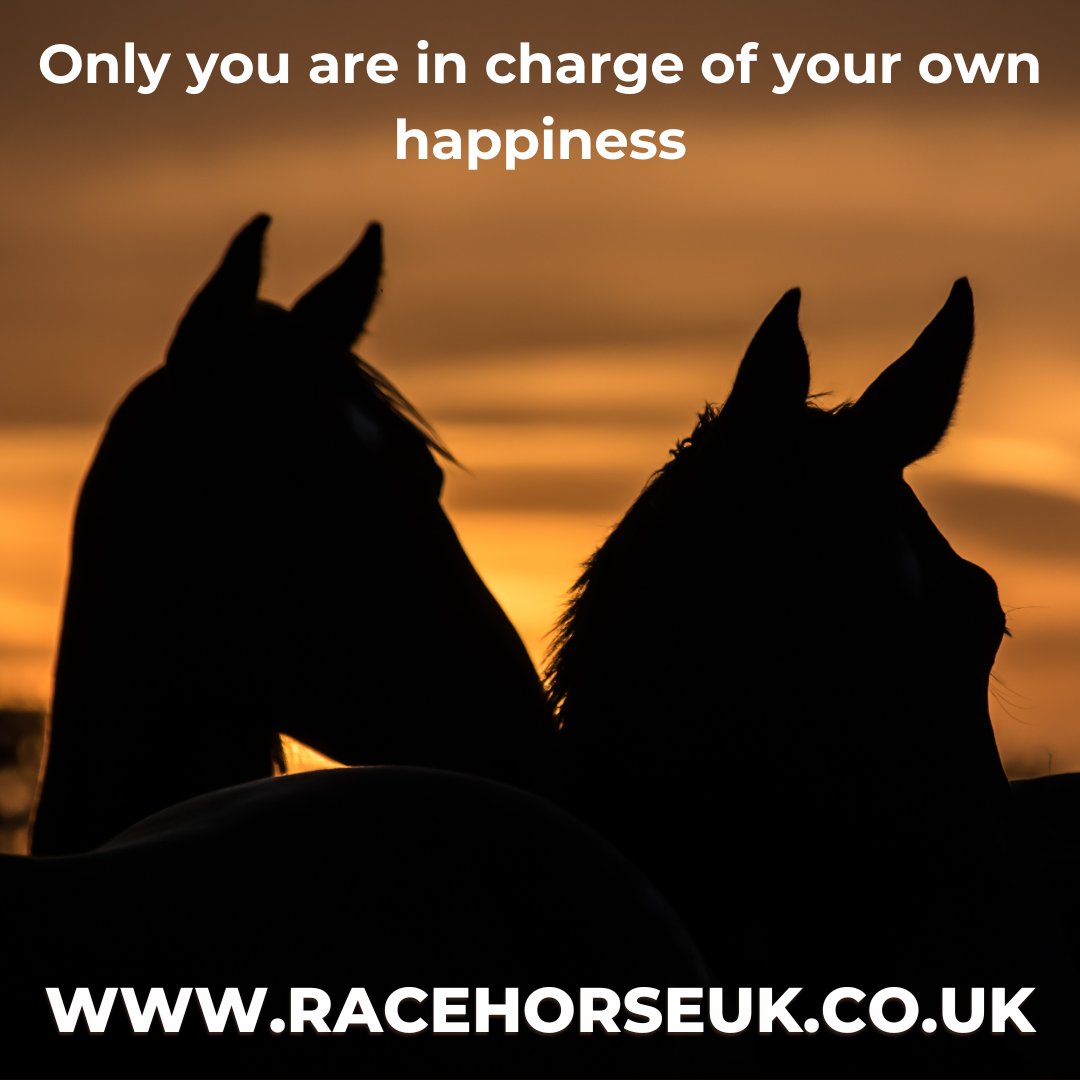 Simple to list 💻 and easy to browse 👀 racehorseuk.co.uk  
Leading The Way - Racehorse UK  
#bloodstock  #racehorseownership   #racingsyndicates  #horseracingclub  #horseracing  #syndicateshares  #dayattheraces  #retiredracehorses
