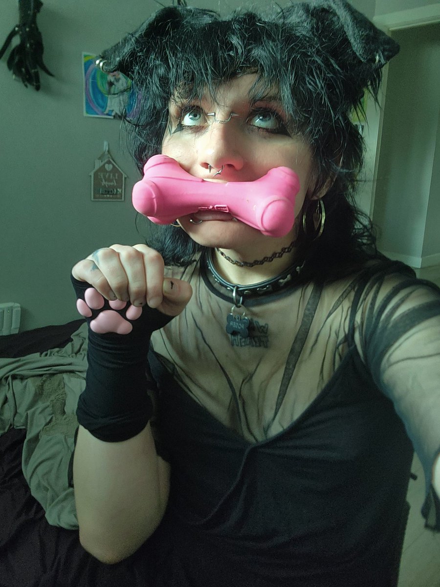 ฅ^•ﻌ•^ฅ ᑭO$Eᖇ ฅ^•ﻌ•^ฅ tweet media