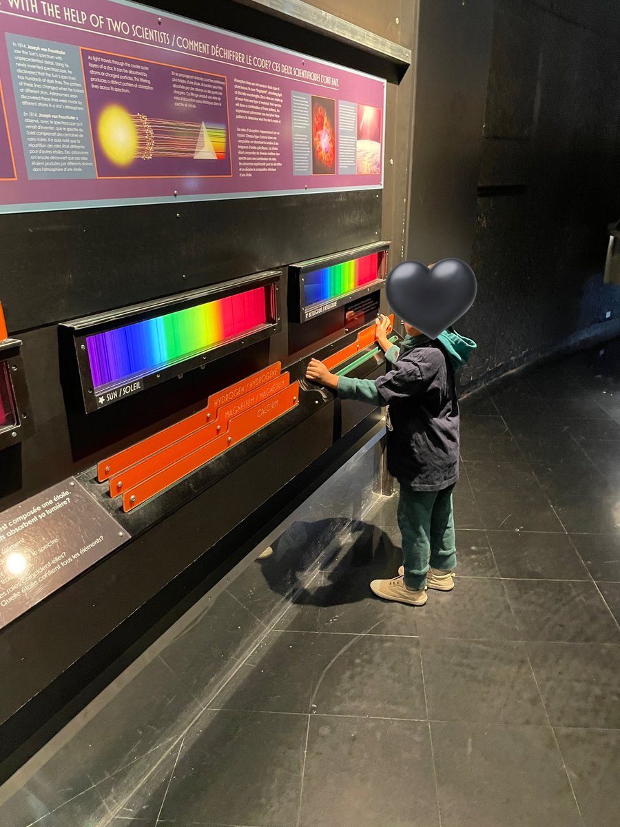 Sara Chan tweet media