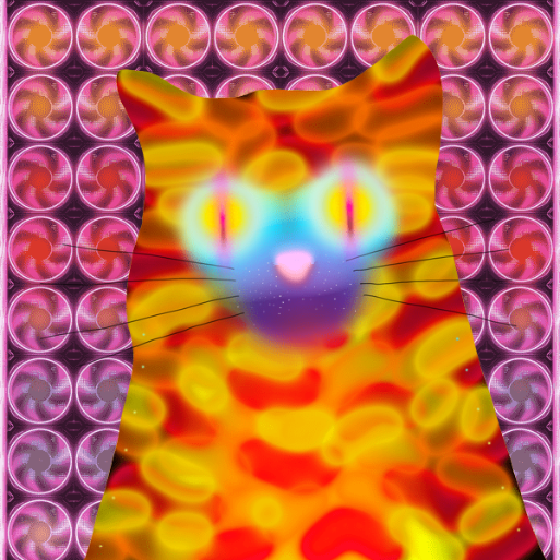 Booblino91's tweet photo. Looking for offers on my Jelly Bean Quantum Cat.

Nothing disrespectful.

https://t.co/kWs8POPb00 https://t.co/IczK2WO2nx