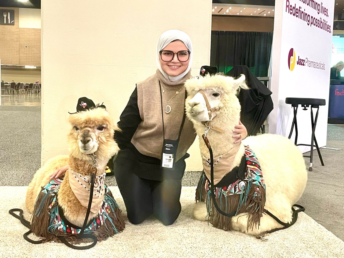 Eman M. Elsabbagh (@elsabbagh_eman) on Twitter photo Have you ever met a lama in real life ? I did today #Tandem24 #astct #pstct Have you ever met a lama in real life ? I did today #Tandem24 #astct #pstct
