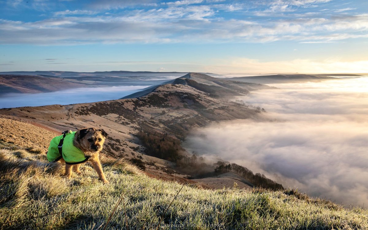 A 5am start on a Saturday was very worthwhile - Mam Tor and The Great Ridge in the Peak District were magnificent surrounded by mist-filled valleys. 15 miles later, Mr Pickle was ready for a nap 😴 

@peakdistrict @PeakDistrictNT #BTPosse @BritainsFinest @VisitEngland @VisitDerby