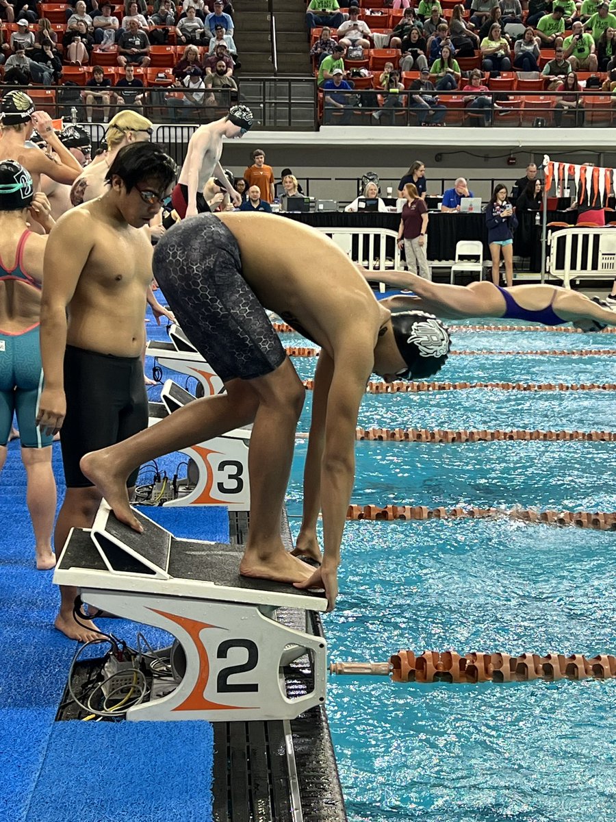 Randle Lions Swimming & Diving tweet media