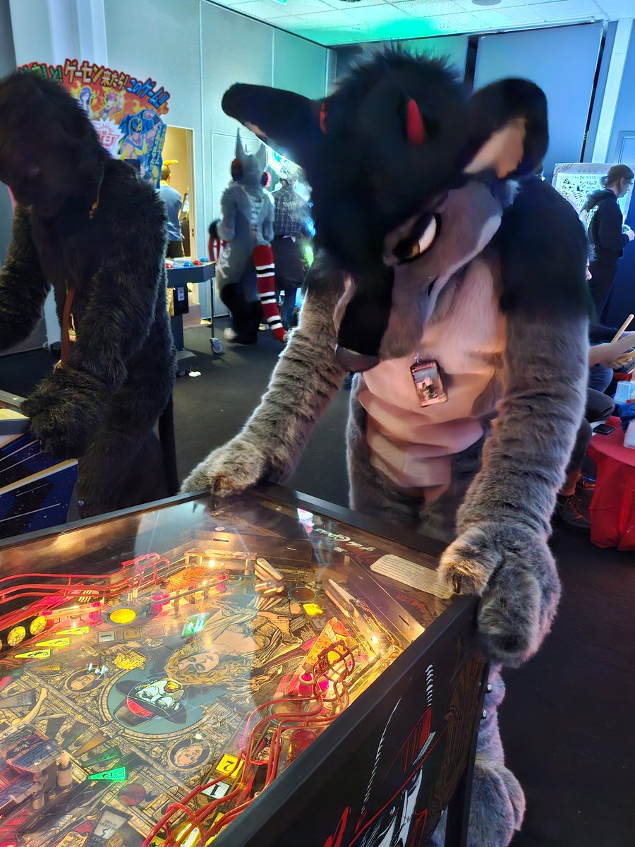 I love pinball. Can't help it. :)
📷 <a href="/weiser_melanie/">Dragoneye</a> 
#NFC2024