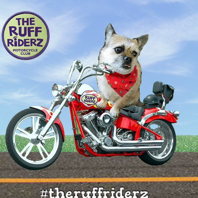 #OTLFP 
Ooooh! I'm excited to learn where the next #RuffRiderz ride will be! I have my bike ready!🤭