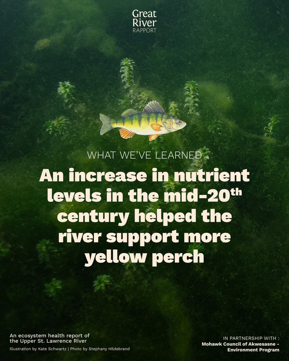 River Institute tweet media