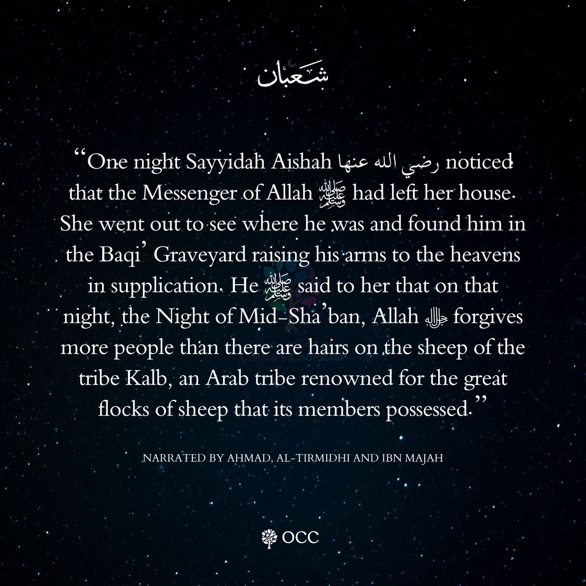 OCC_Luton's tweet photo. NISF SHA’BAN 1445 — شعبان

#shaban #muwasala #15thnight #worship #dhikr #baqi #habibumarbinhafiz #tarim #yemen #shaban #sacredays #Gaze #Islam #Allah #Muhammad #forgiveness #laylatulbarah #creation #ummah https://t.co/BwVrSW9Bc6